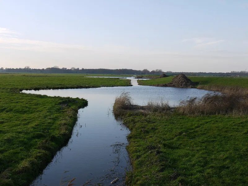 Polderlandschap in Eemland